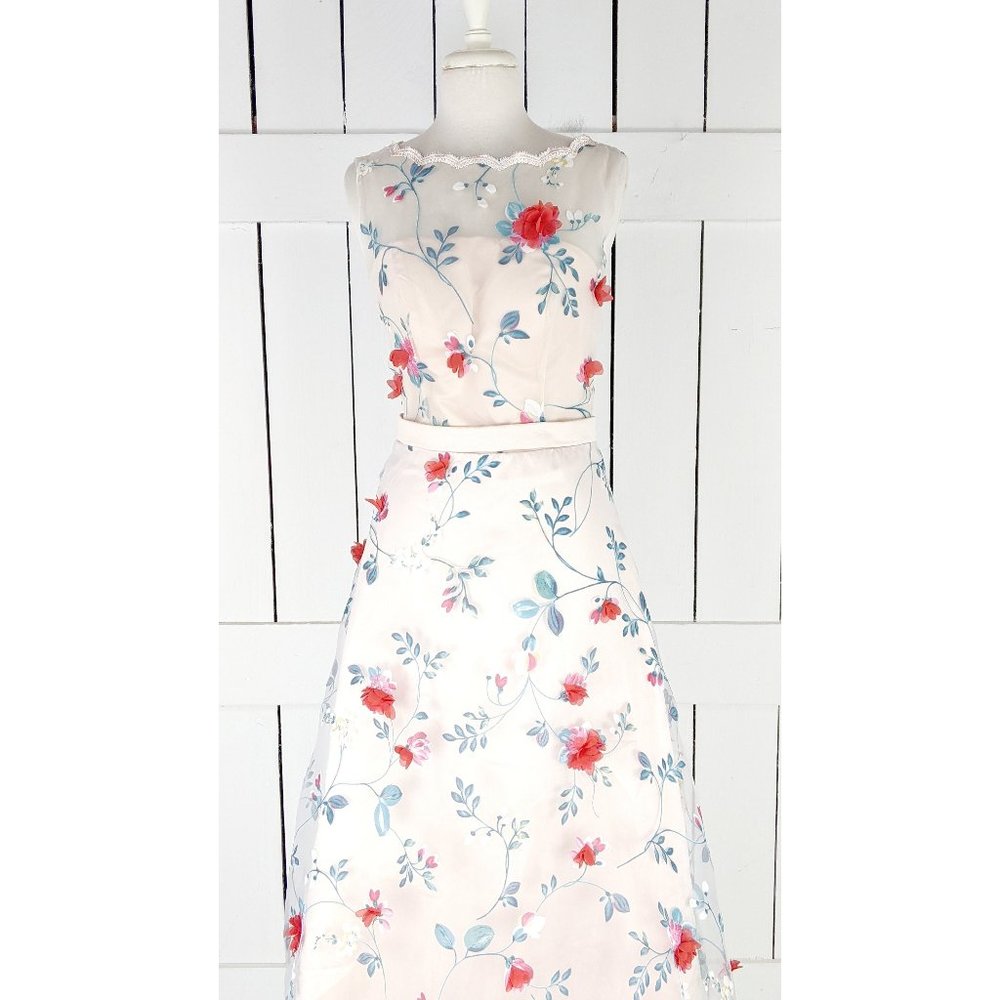 Blush sheer overlay red floral vintage high neck bodice sleeveless gown